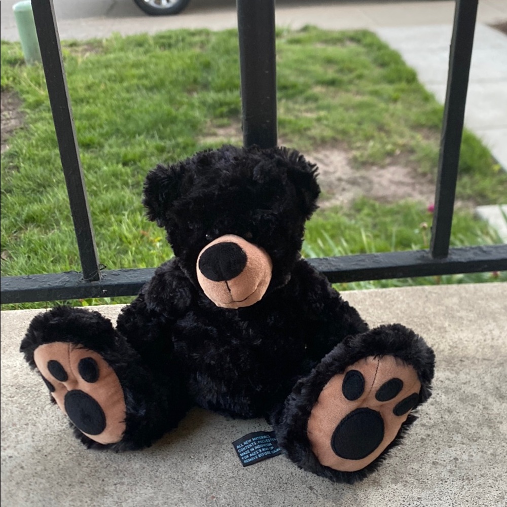 Black Plush Teddy Bear